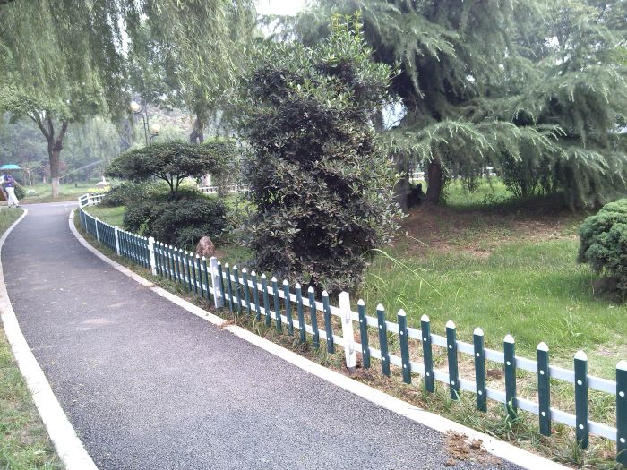 213910830.jpg